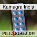 Kamagra India viagra3